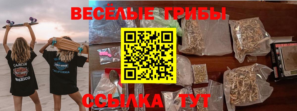 Псилоцибиновые грибы Psilocybe Кирово-Чепецк
